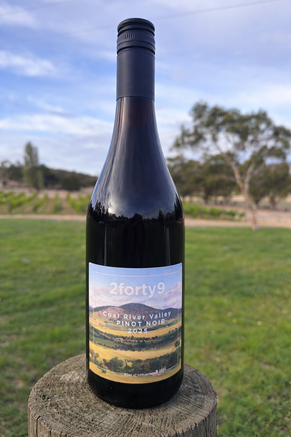2forty9 Pinot Noir 2025