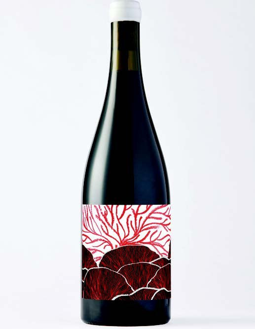 Future Perfect House Wine 2024