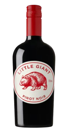 Little Giant Pinot Noir 2024