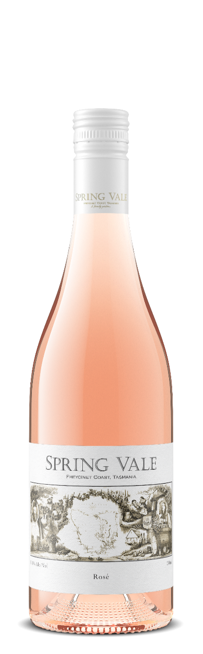 Spring Vale Rose 2025