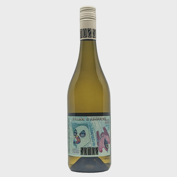 Somos iFiano & Amigos! 2024