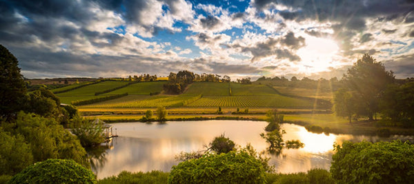 Uncovering Tasmania's Soul: A Casual Stroll Through Its One-of-a-Kind Terroir - Hop Vine & Still