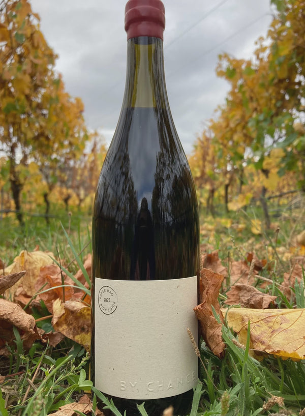 By Chance Paper Bag Pinot Noir