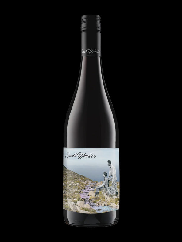 Small Wonder Syrah 2025