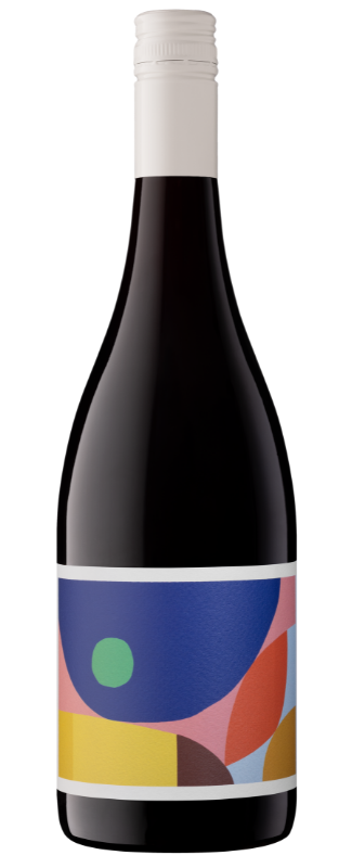 Kin Shiraz 2023